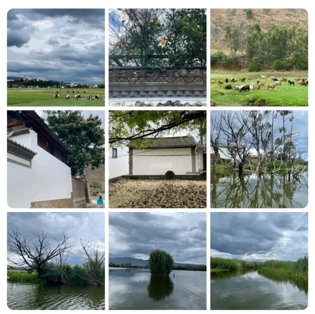 旅行者上传的活动照片