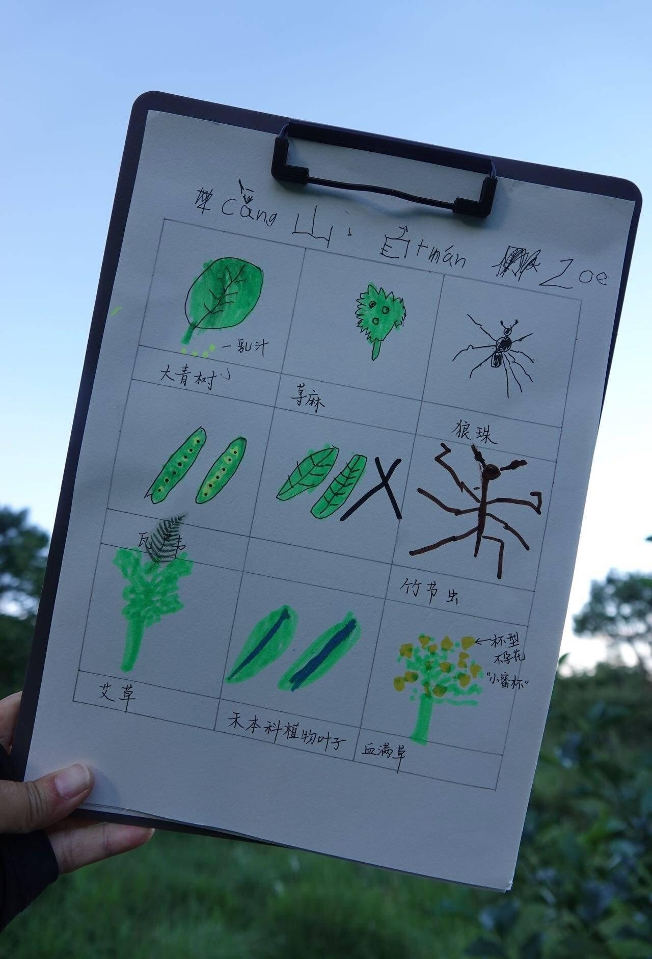 旅行者上传的活动照片