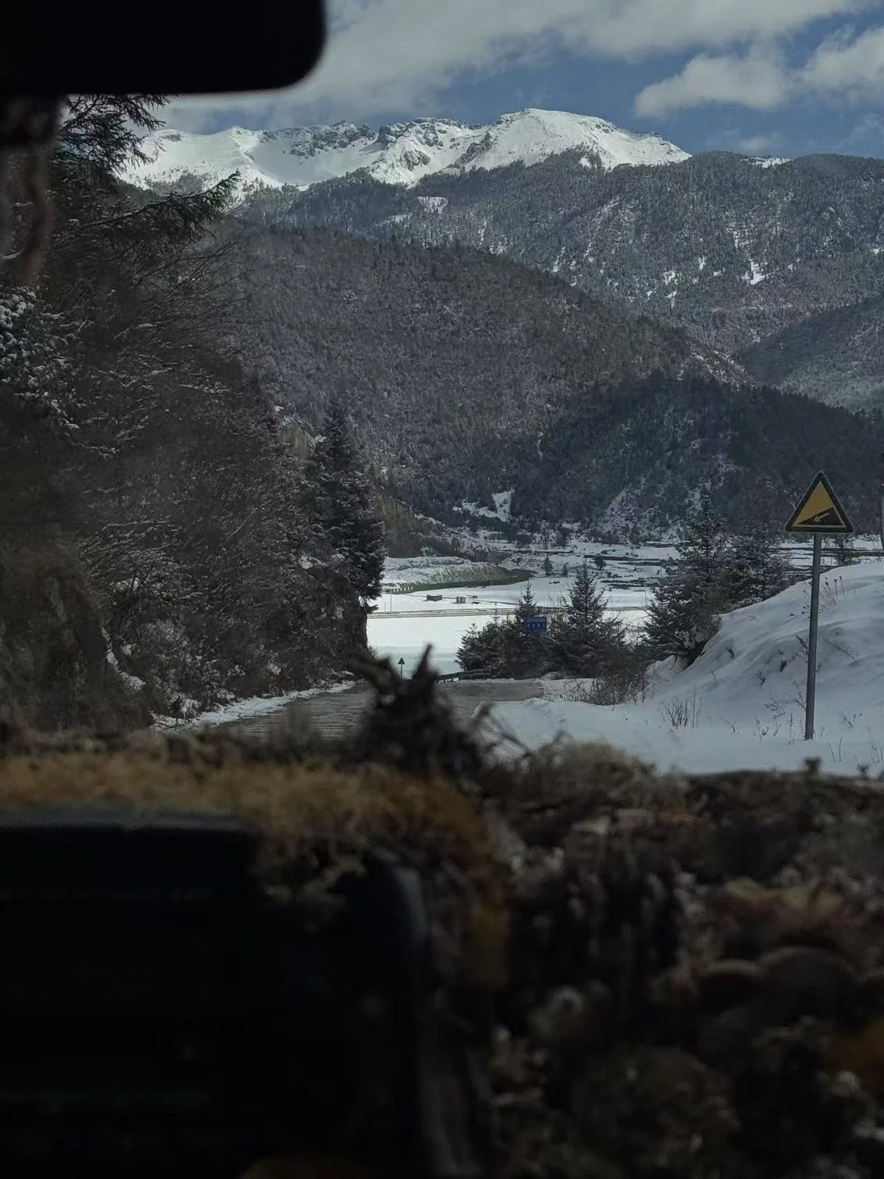Little Sheep | Snowy Travel Memories in Shangri-La