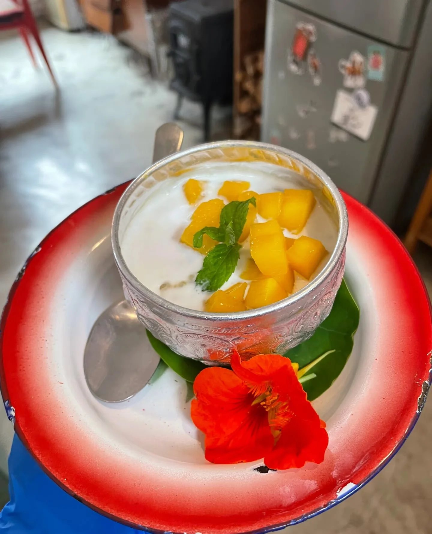 「Indigo House」新加坡菜