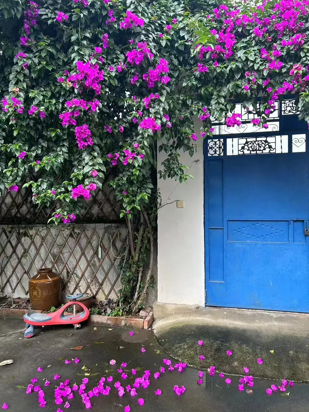 「Indigo House」新加坡菜
