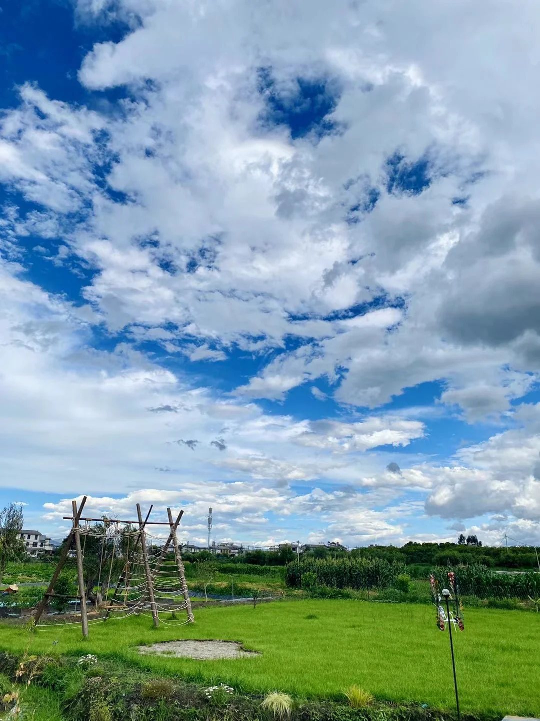 有田野大草坪和开阔视野的乡村民宿 | 面包树花园