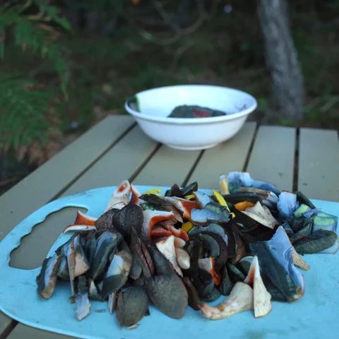 Weed Scene | Mushroom Picking Memoir
