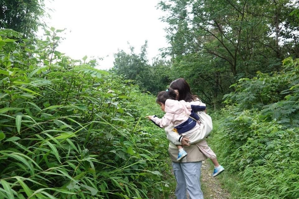 旅行者上传的活动照片