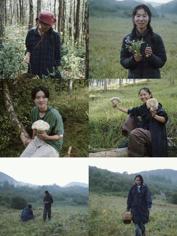 Weed Scene | Mushroom Picking Memoir