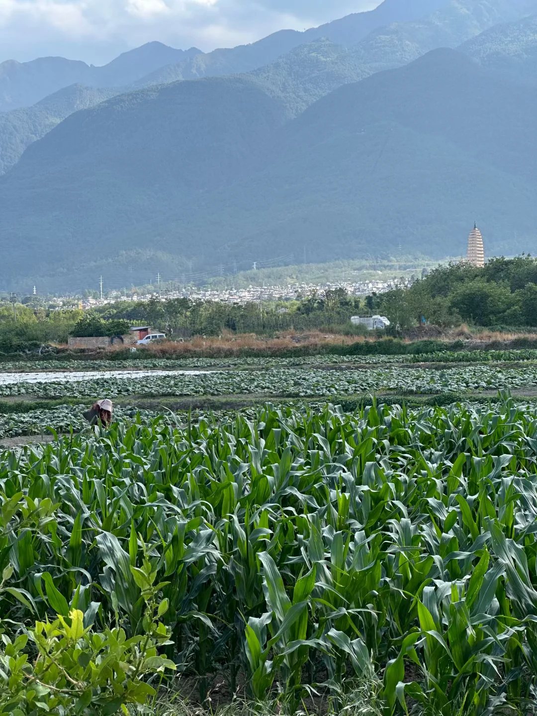 望乎所以 | 田野边独立惬意的理想独栋两间房民宿