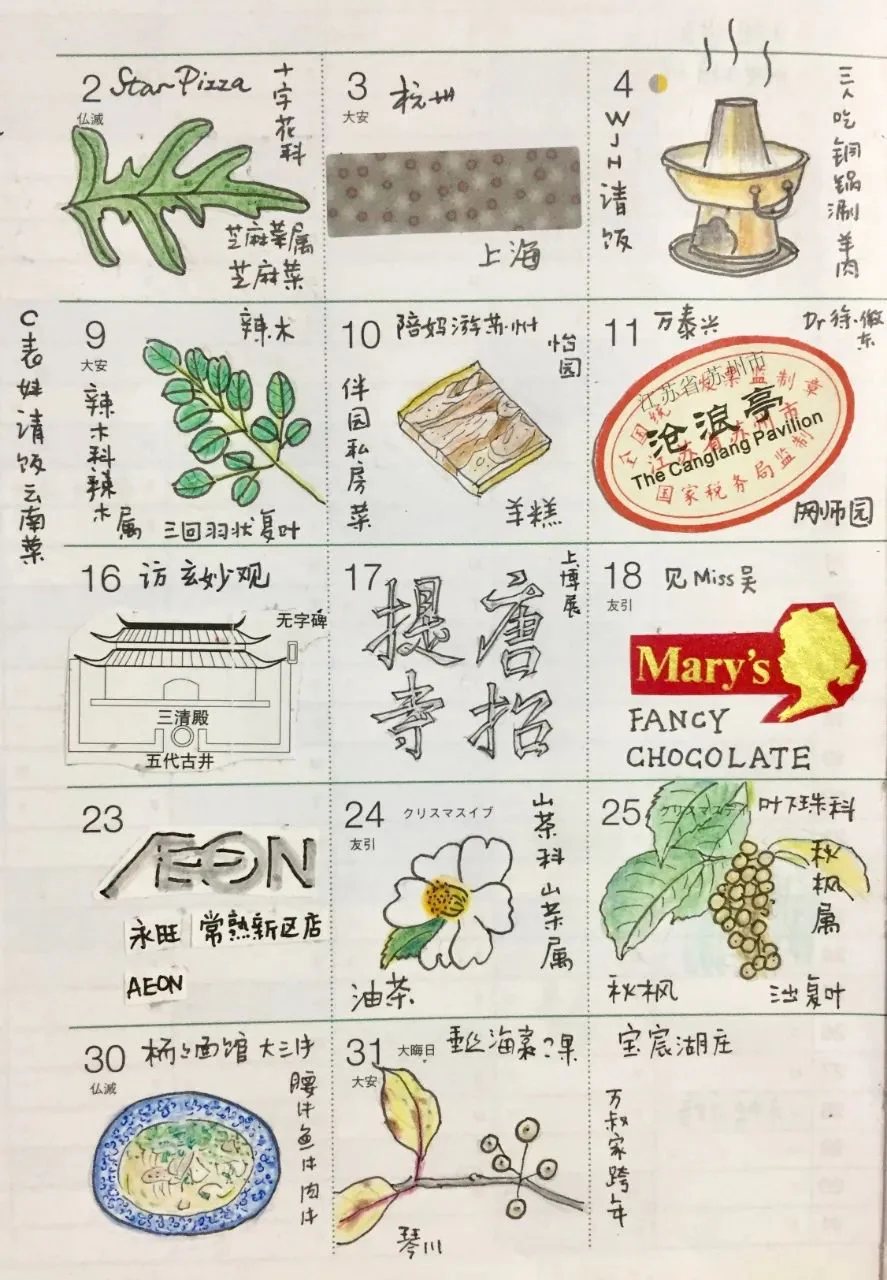 菲比的语言翻译