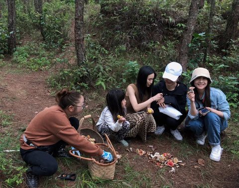Weed Scene | Mushroom Picking Memoir
