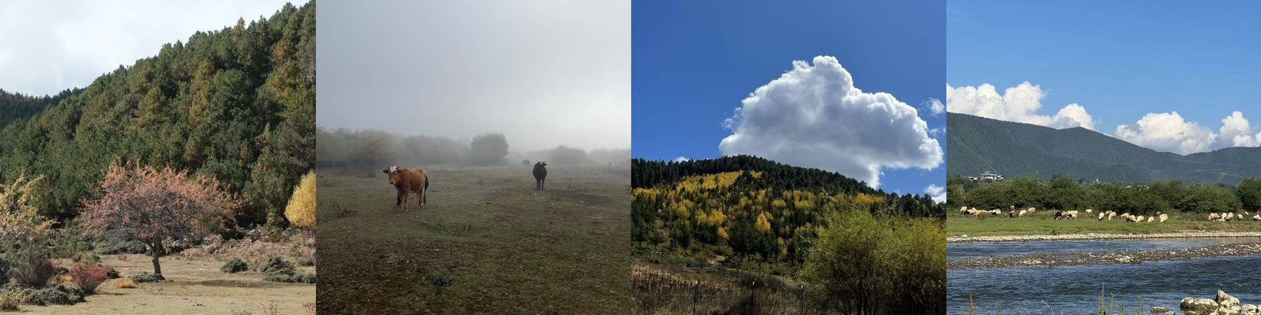 In-depth Shangri-La Pastoral Area 2-Day Trip