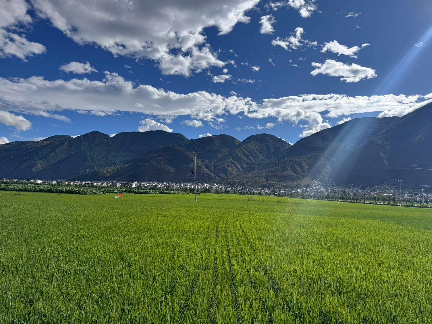 旅行者上传的活动照片