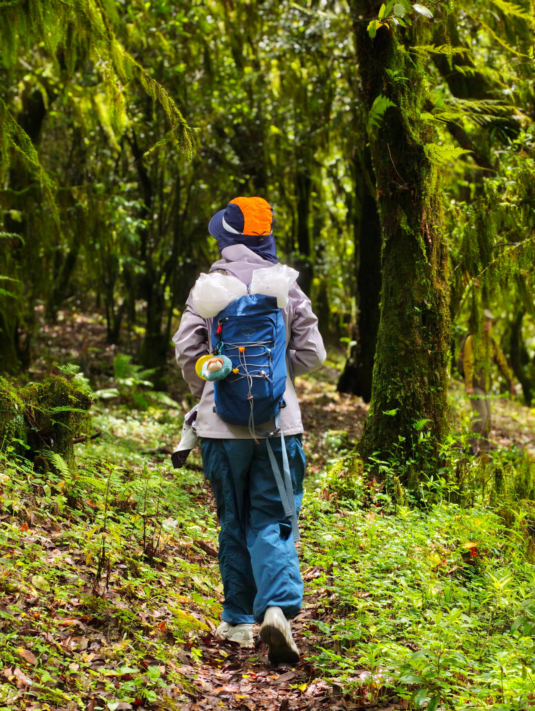 Cloud Ridge | Hiking in Dali's Primeval Forest