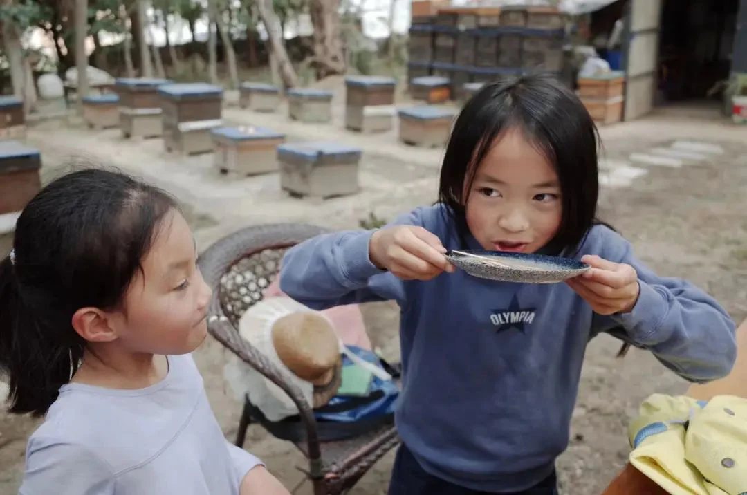 Beekeeper Chunyu's Dad | Learn About Bee Life, Taste the Freshest Honey