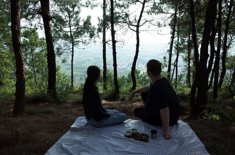 Weed Scene | Mushroom Picking Memoir