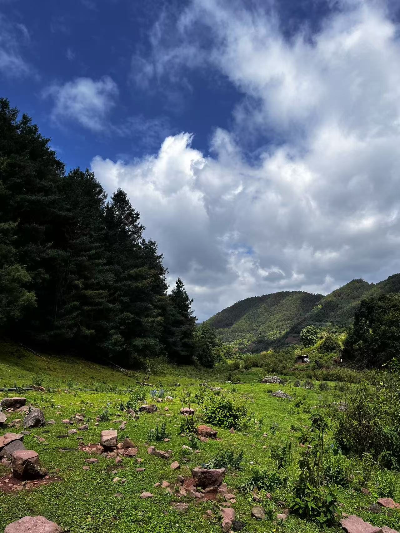 Xiaoyang | Solo Camping "Adventure"