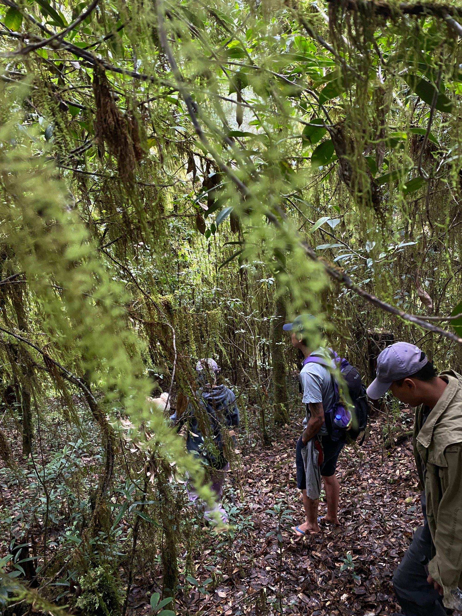 Cloud Ridge | Hiking in Dali's Primeval Forest