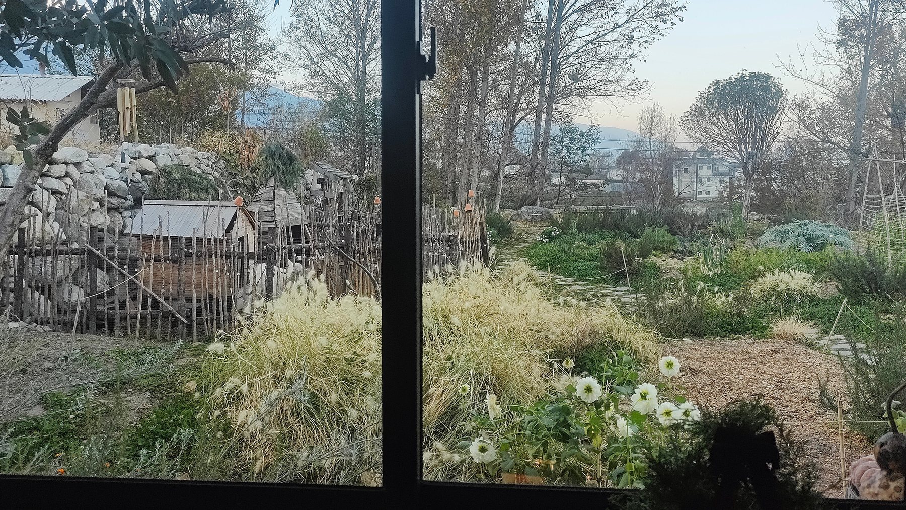 「鳟鱼餐厅」 精致西餐