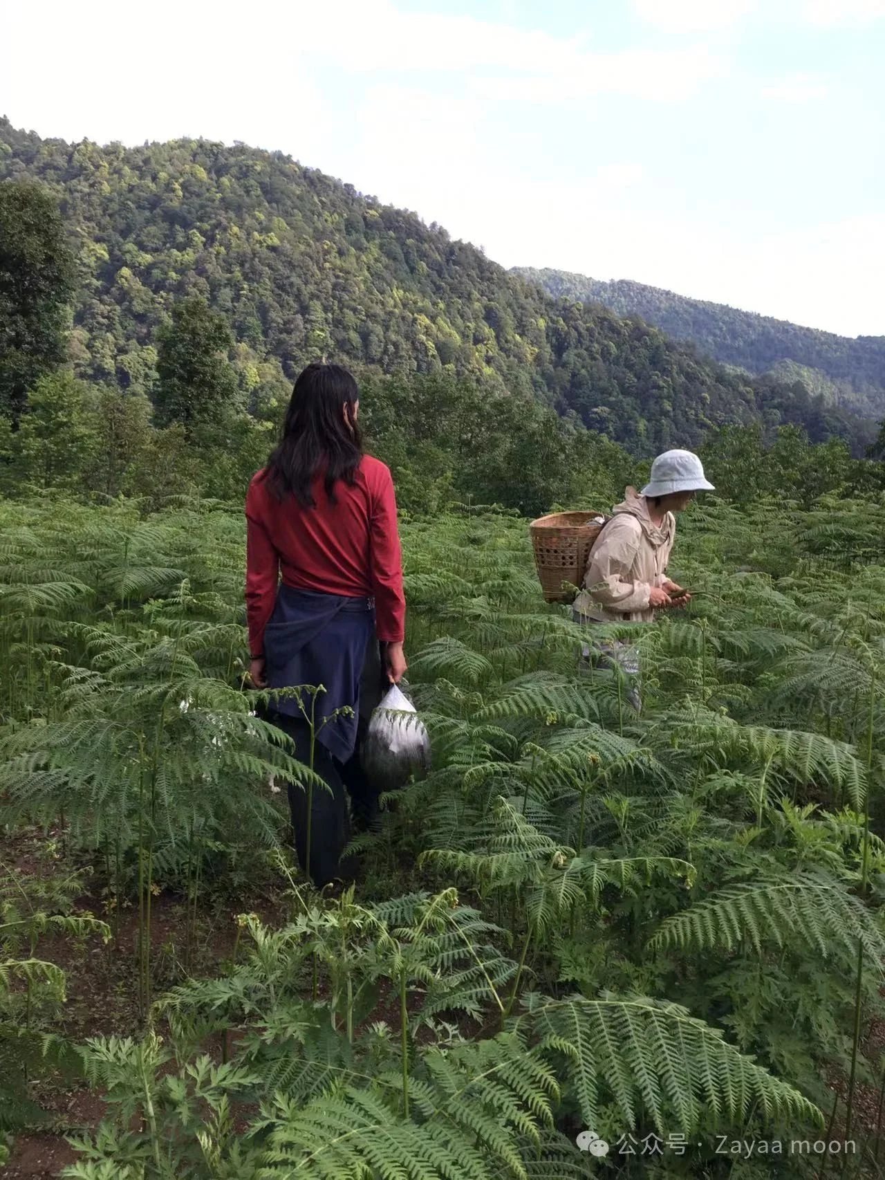 A Day in the Mountain Village of Xipo