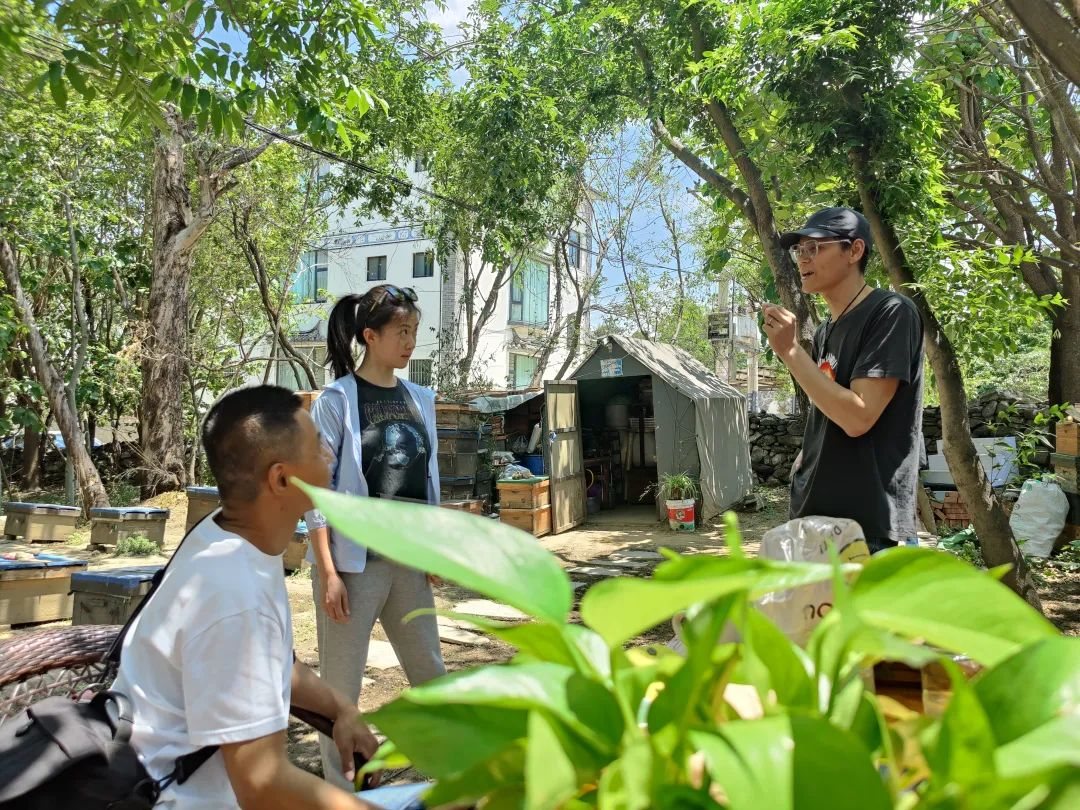 Beekeeper Chunyu's Dad | Learn About Bee Life, Taste the Freshest Honey