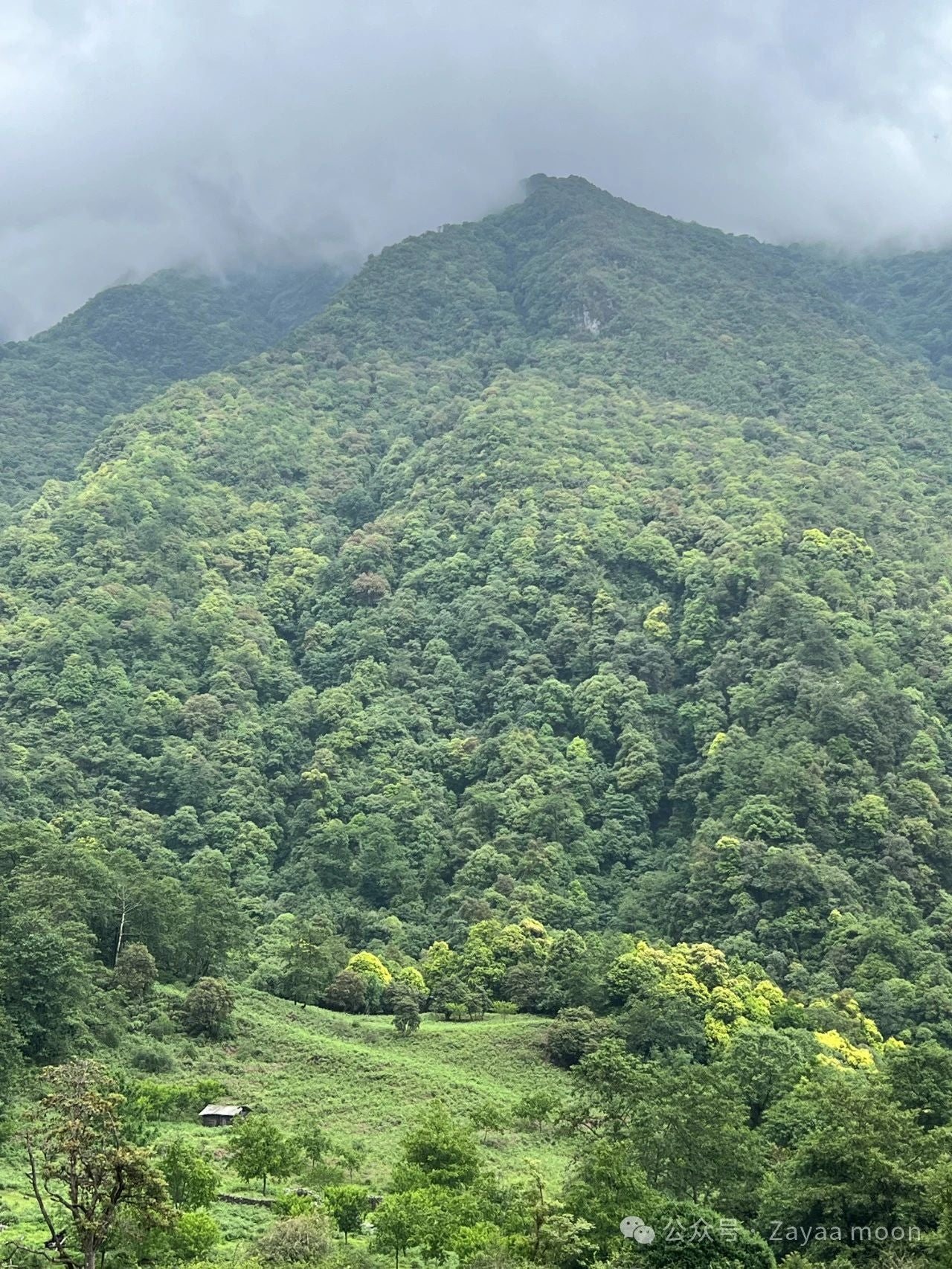 A Day in the Mountain Village of Xipo
