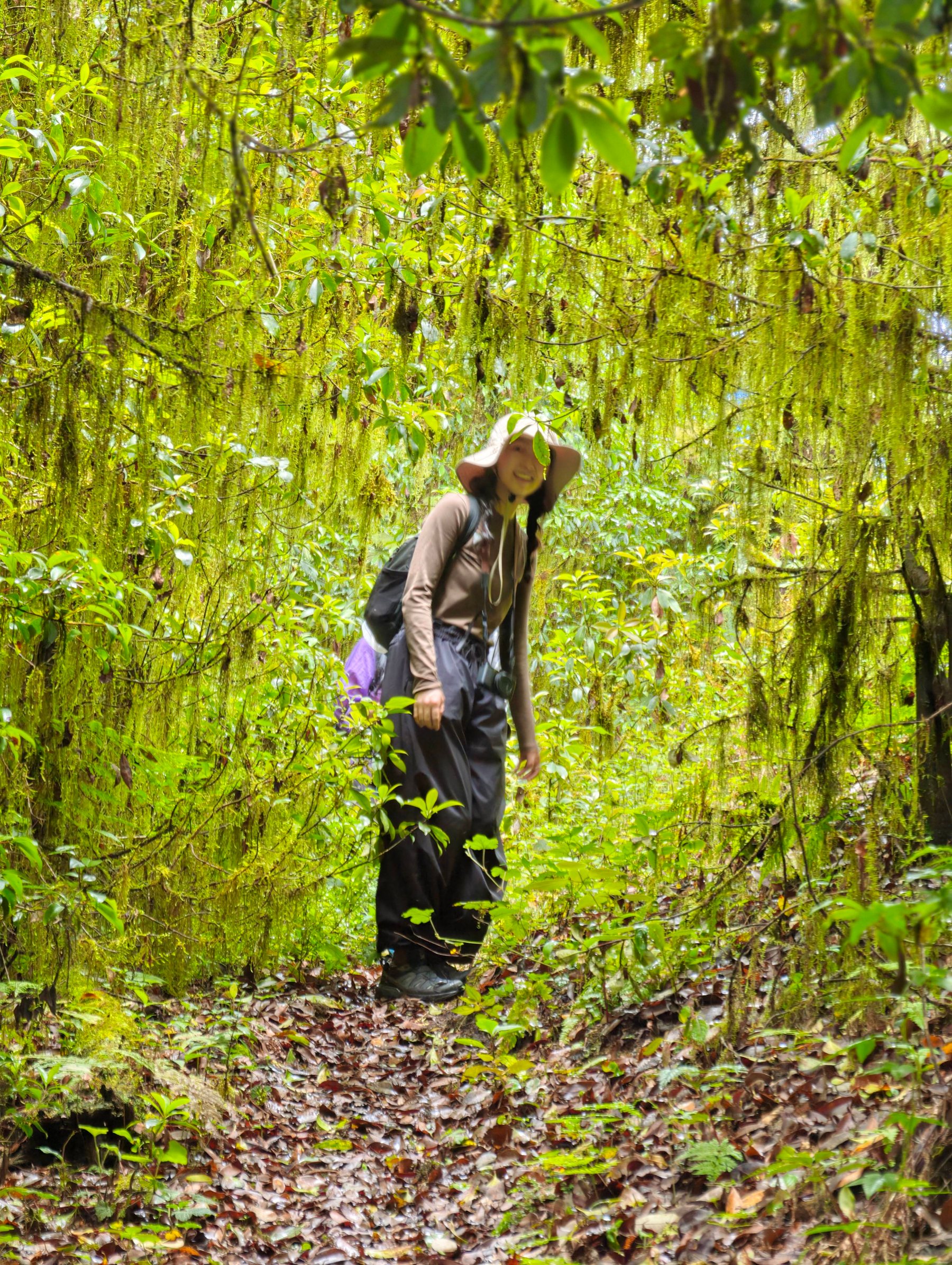 Cloud Ridge | Hiking in Dali's Primeval Forest