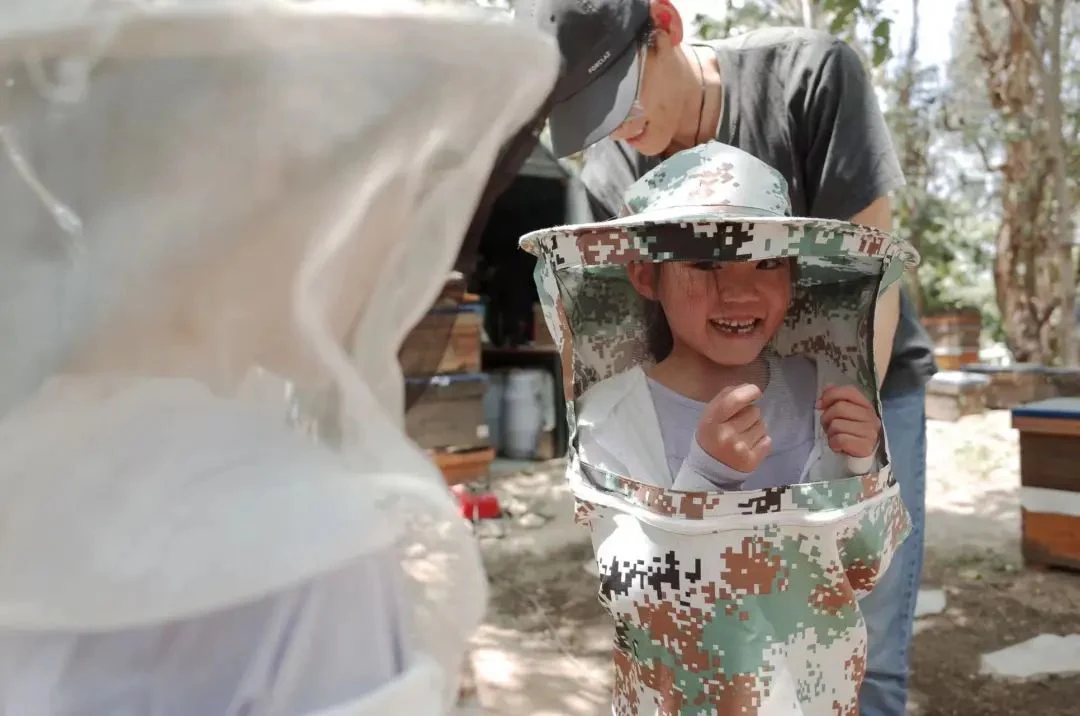 Beekeeper Chunyu's Dad | Learn About Bee Life, Taste the Freshest Honey