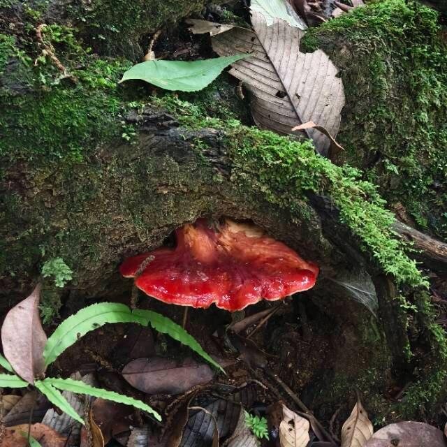 旅行者上传的活动照片