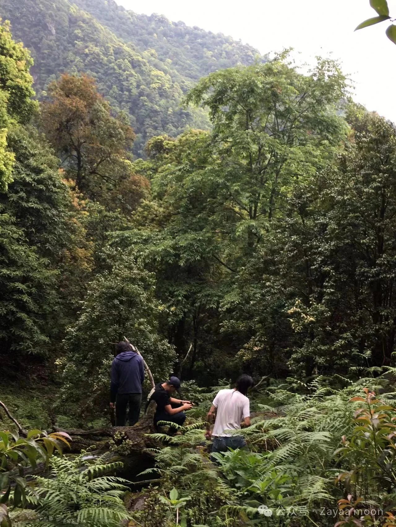 A Day in the Mountain Village of Xipo