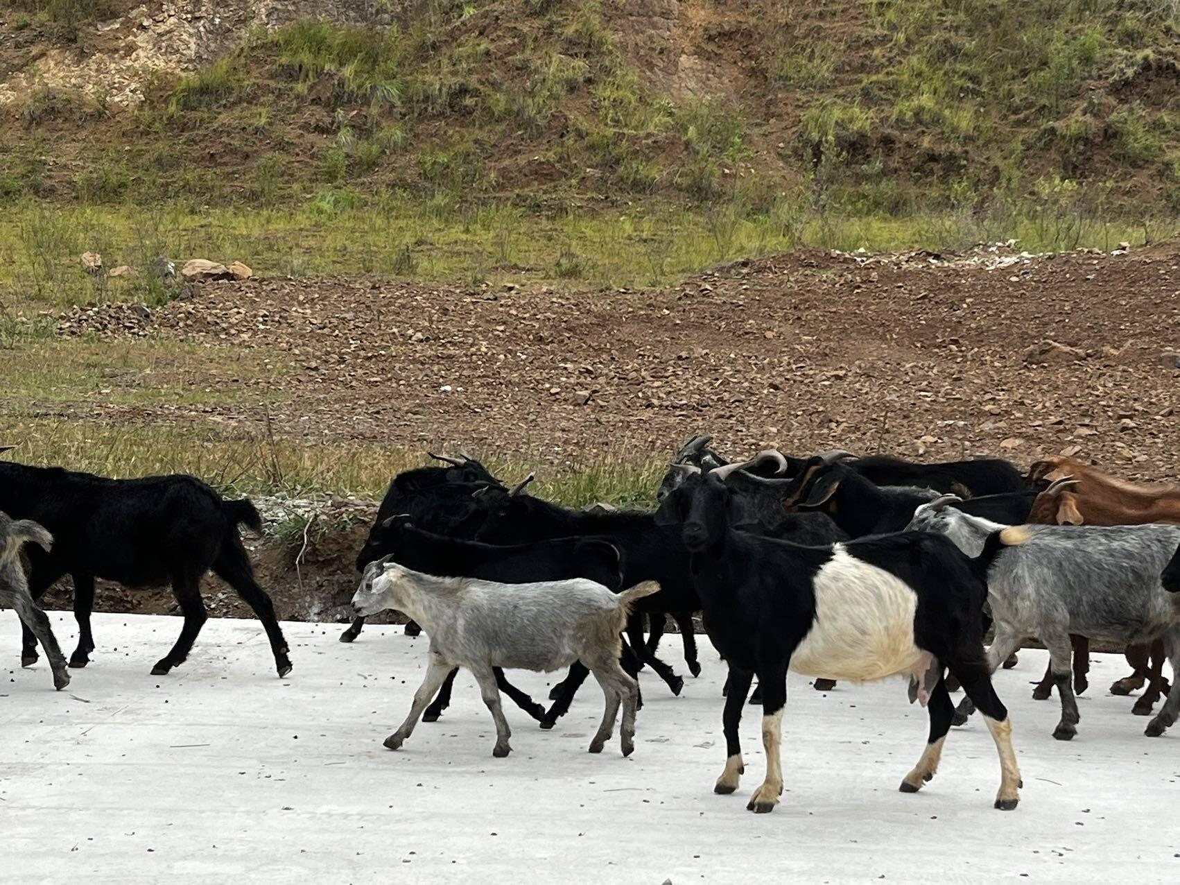 旅行者上传的活动照片