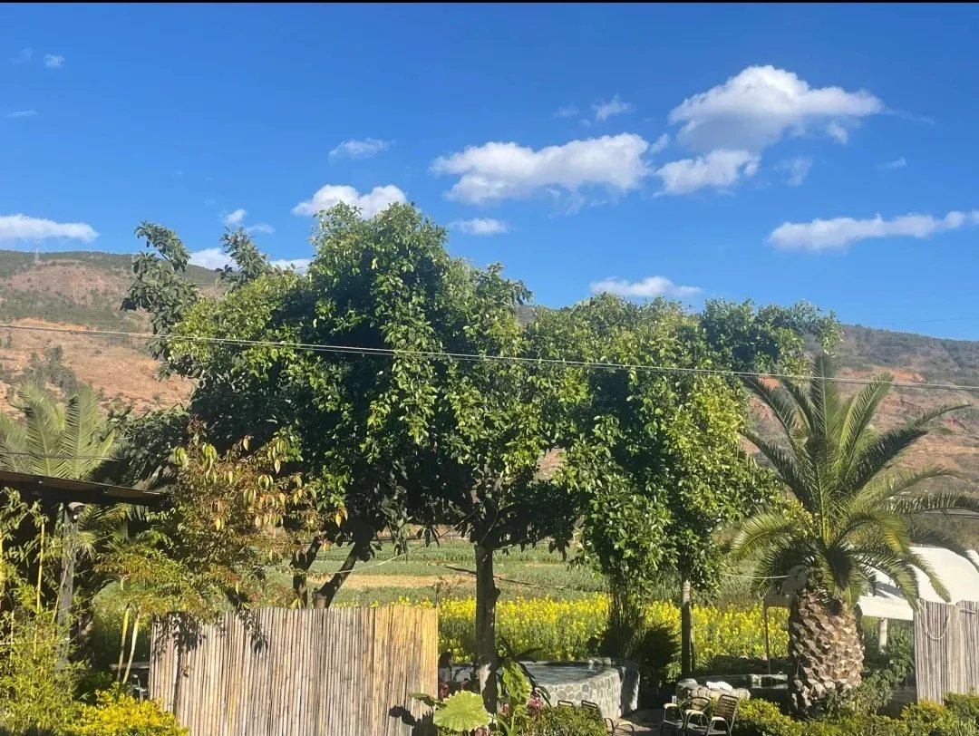 阡禾温泉(下山口)