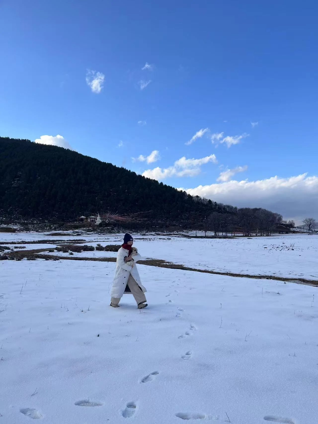 Little Sheep | Snowy Travel Memories in Shangri-La