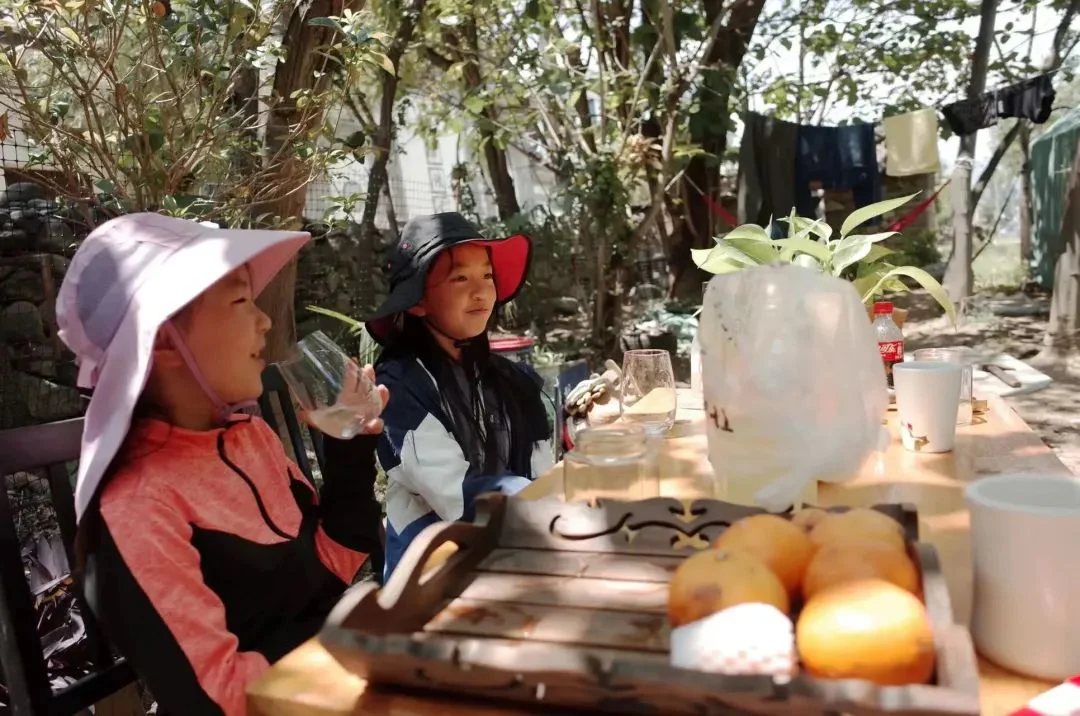 Beekeeper Chunyu's Dad | Learn About Bee Life, Taste the Freshest Honey