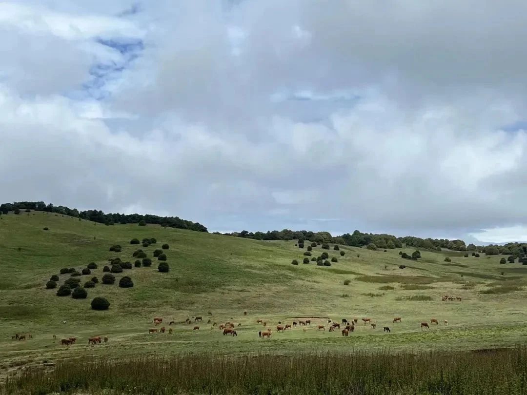 Hiking to Jizu Mountain | A Buddhist Pilgrimage Trail (Medium Distance)