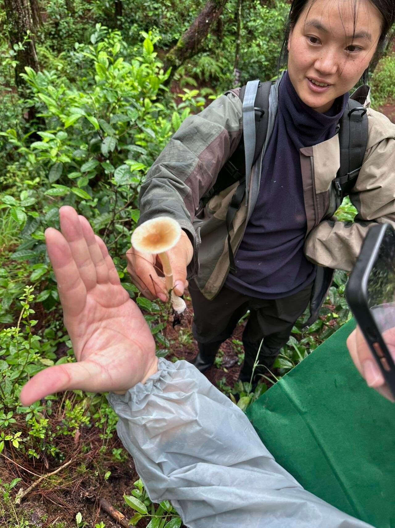 旅行者上传的活动照片