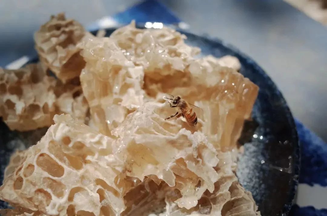Beekeeper Chunyu's Dad | Learn About Bee Life, Taste the Freshest Honey