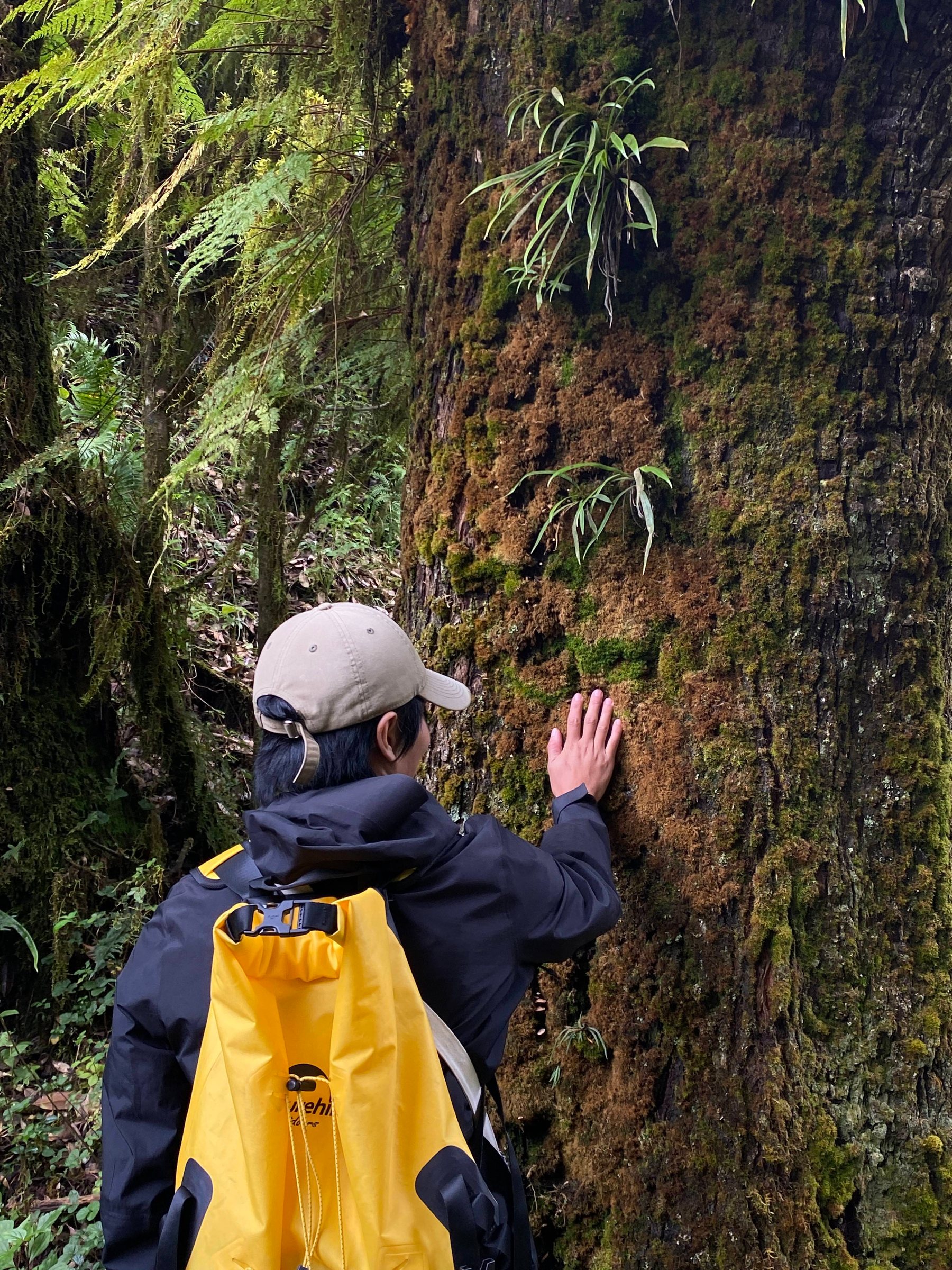 Cloud Ridge | Hiking in Dali's Primeval Forest