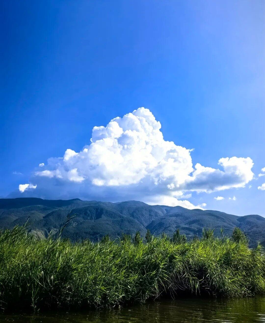 旅人が投稿した体験写真
