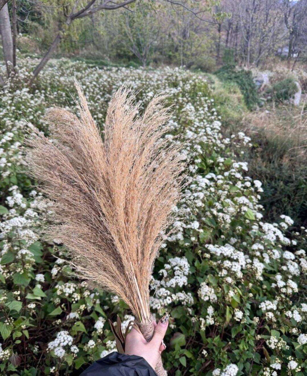旅行者上传的活动照片