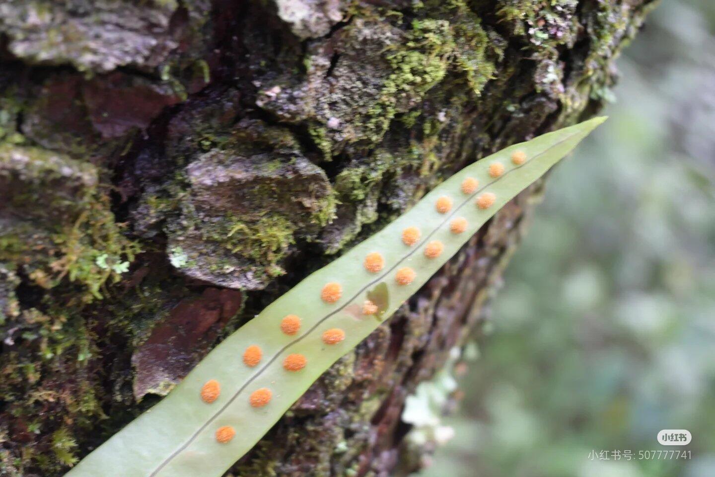 Von Reisenden hochgeladenes Aktivitätsfoto