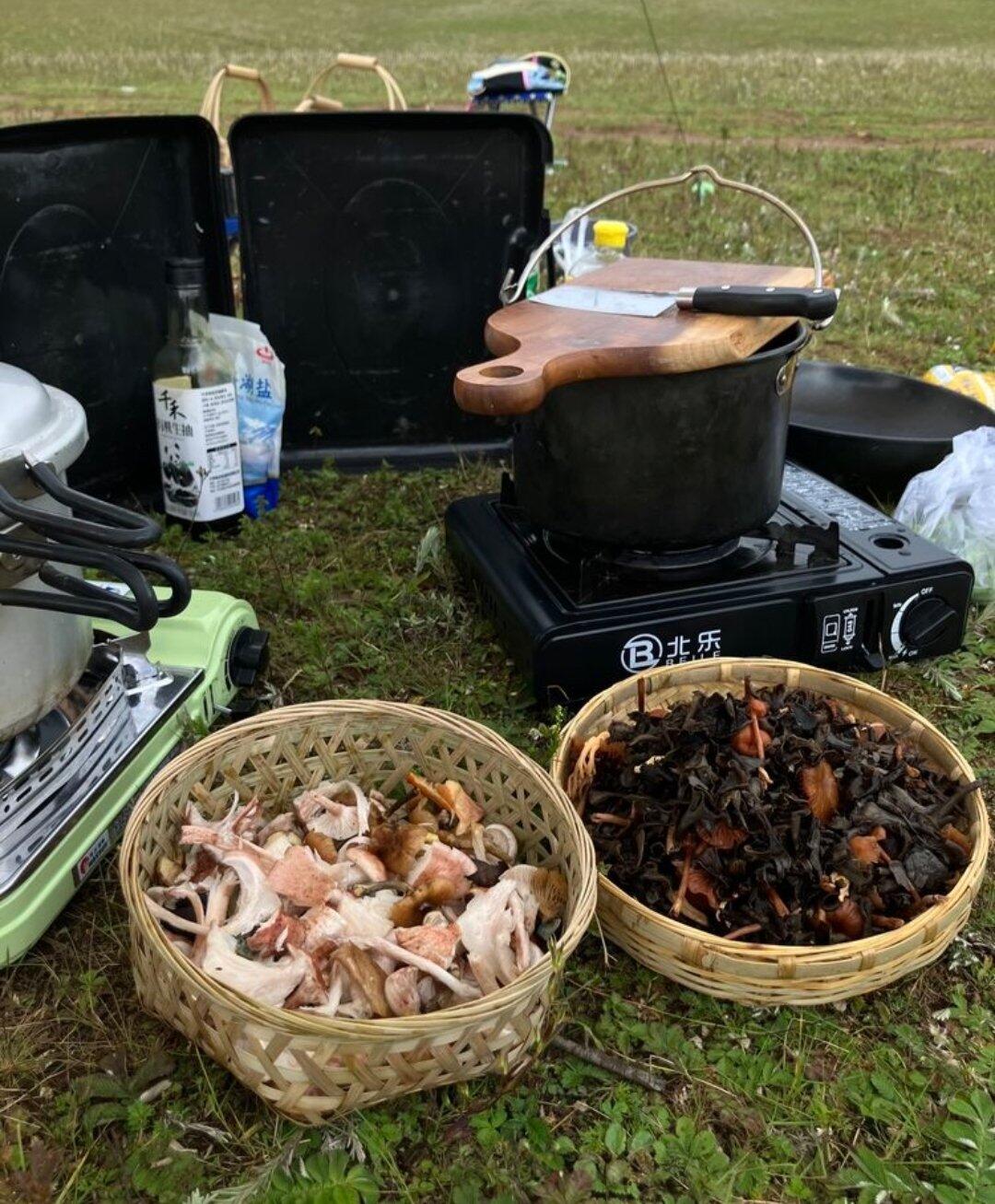 旅行者上传的活动照片