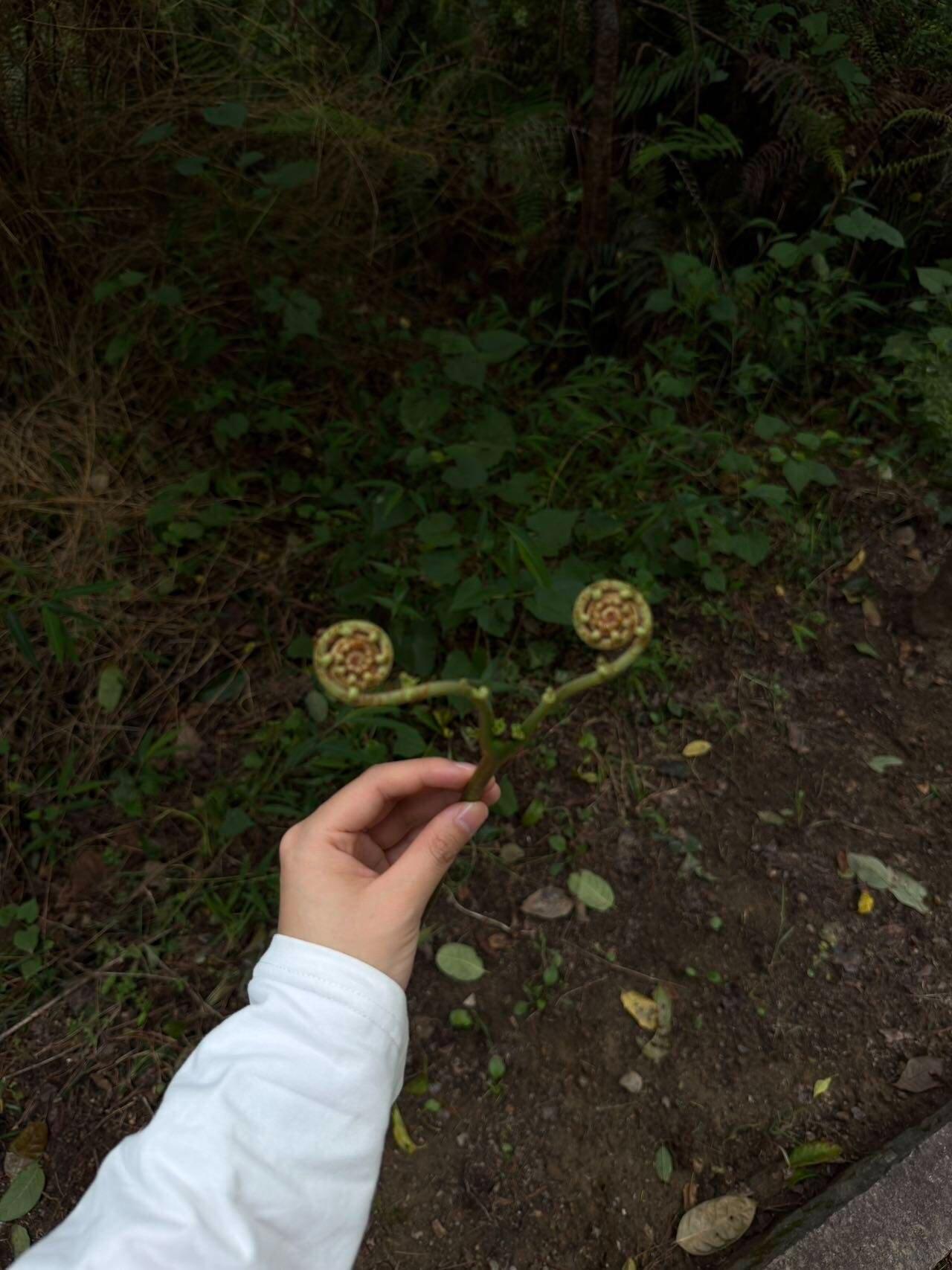 旅行者上传的活动照片
