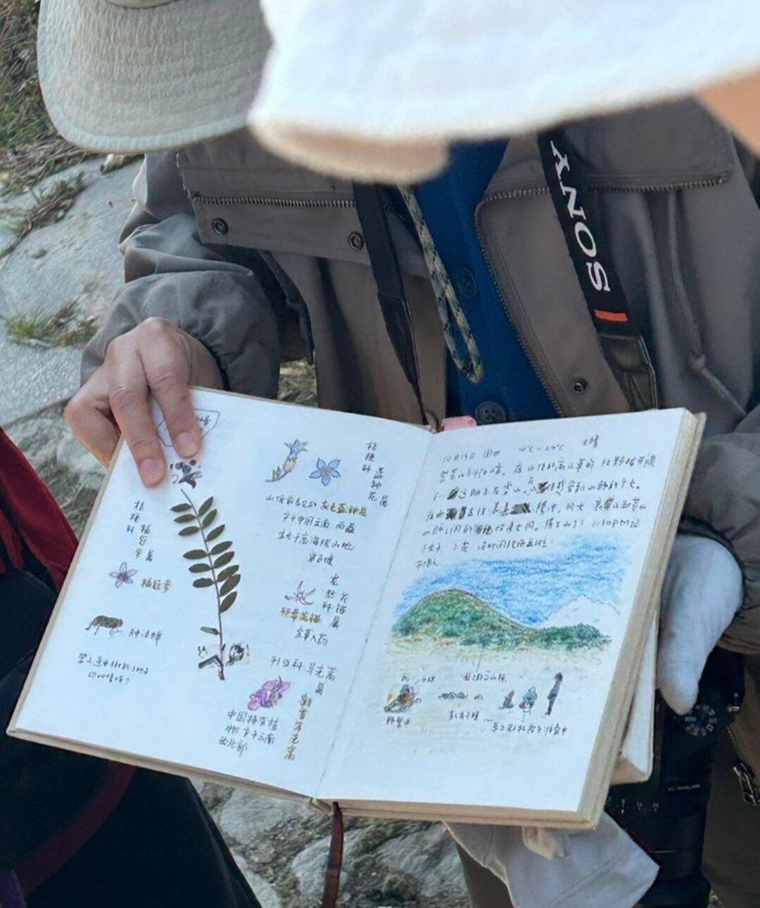 旅行者上传的活动照片