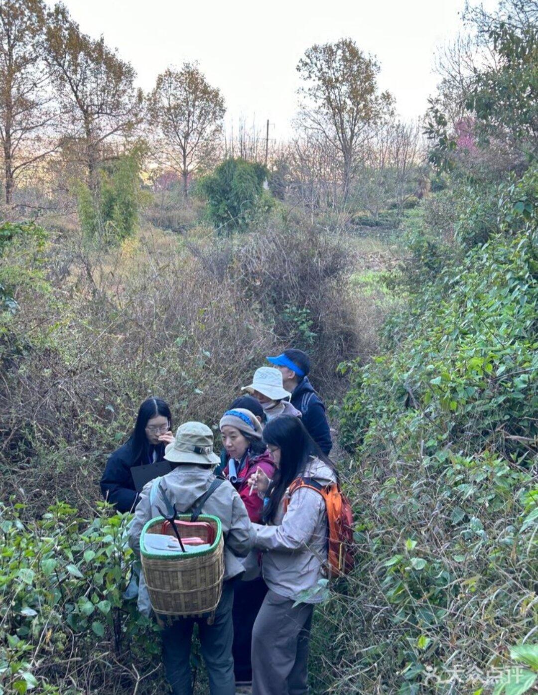 旅行者上传的活动照片