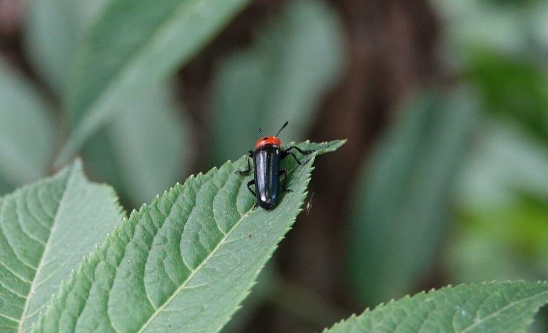 旅行者上传的活动照片