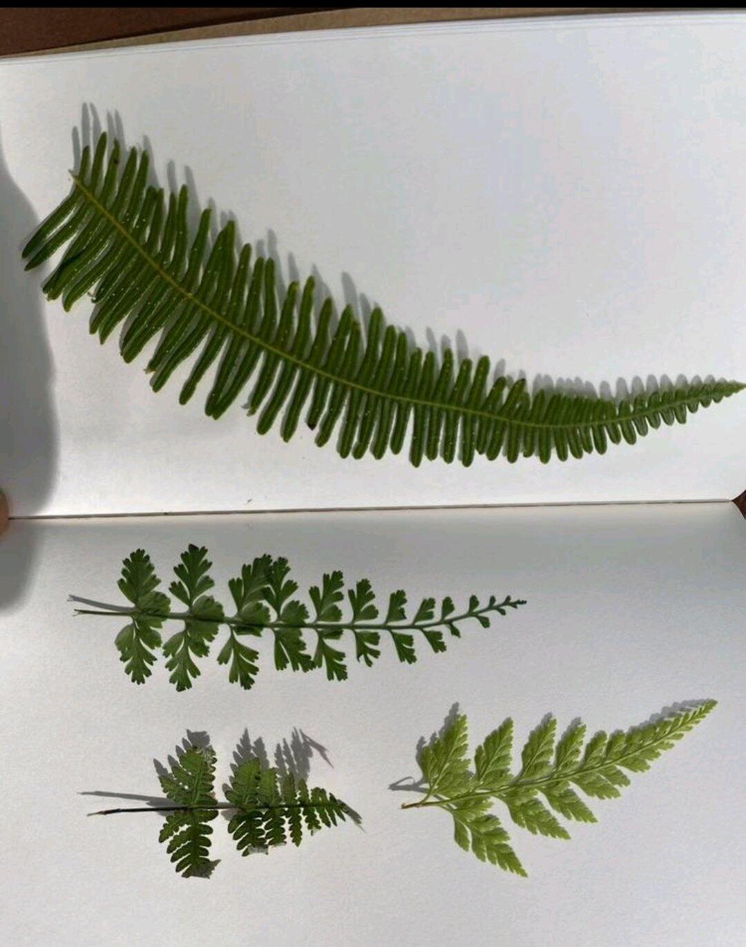 Von Reisenden hochgeladenes Aktivitätsfoto