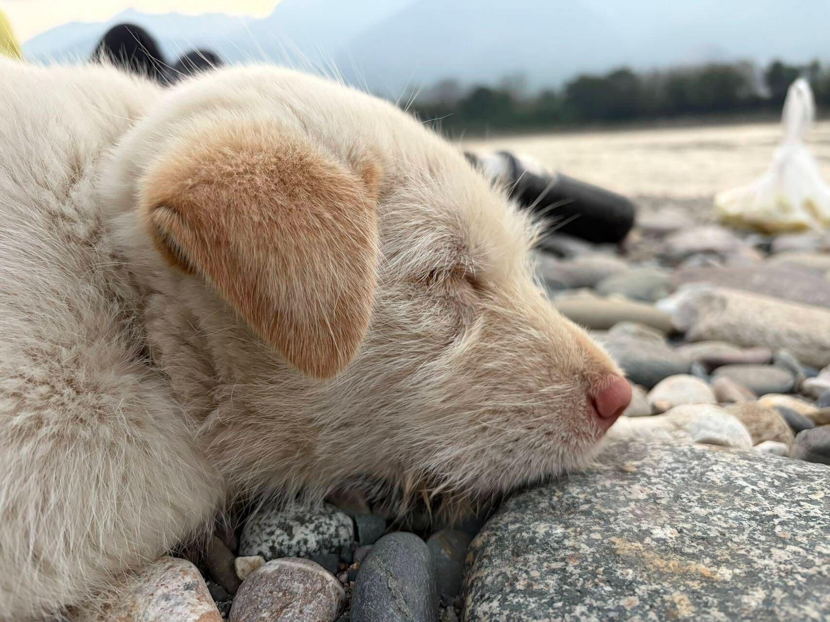 旅行者上传的活动照片