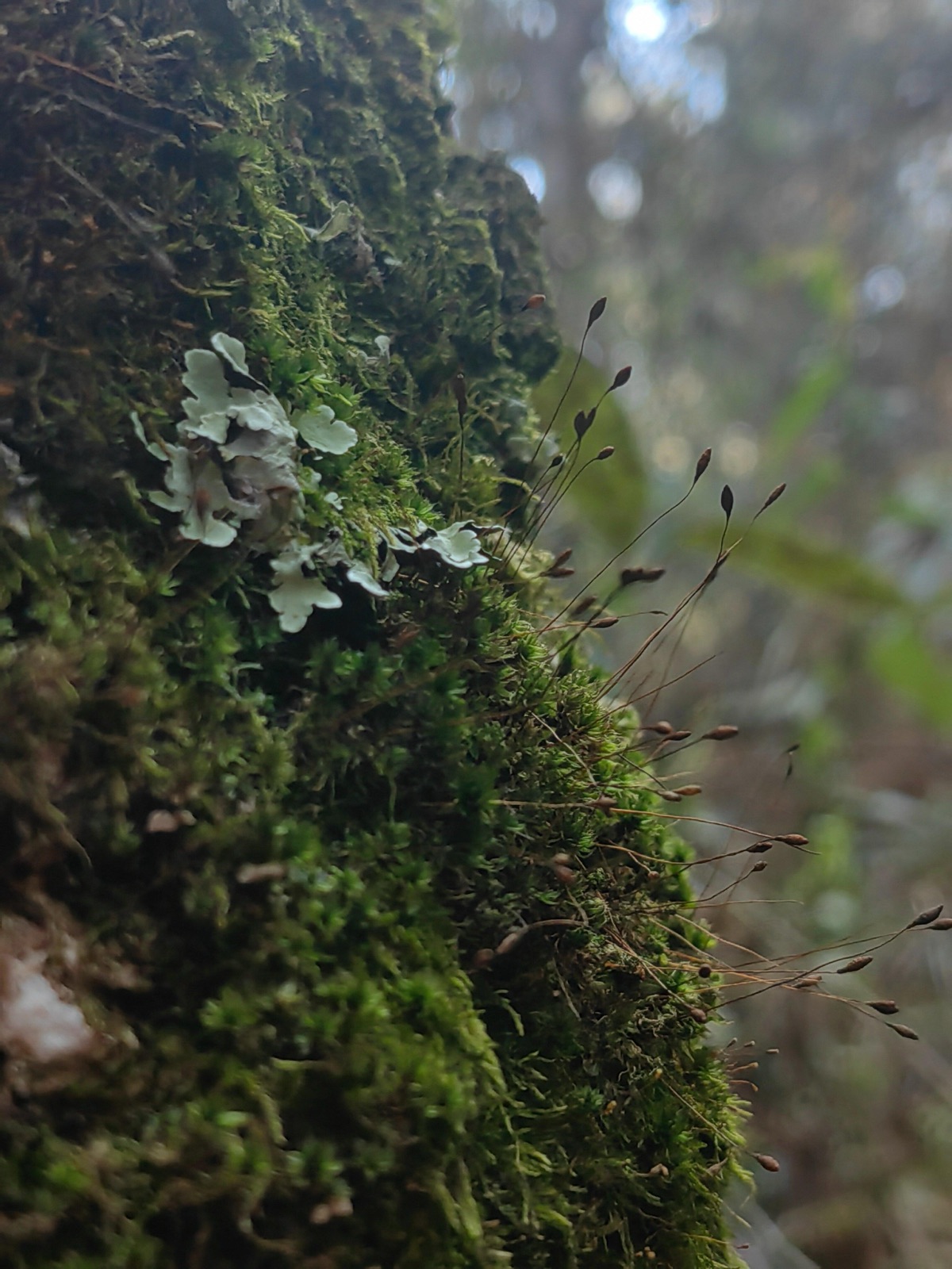 旅行者上传的活动照片