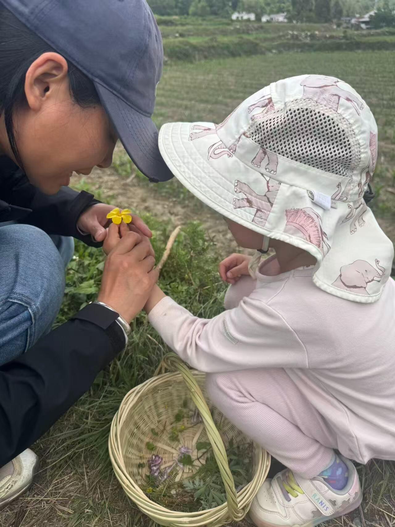 旅行者上传的活动照片