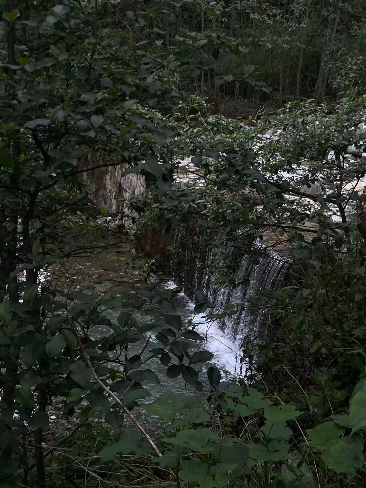 旅行者上传的活动照片