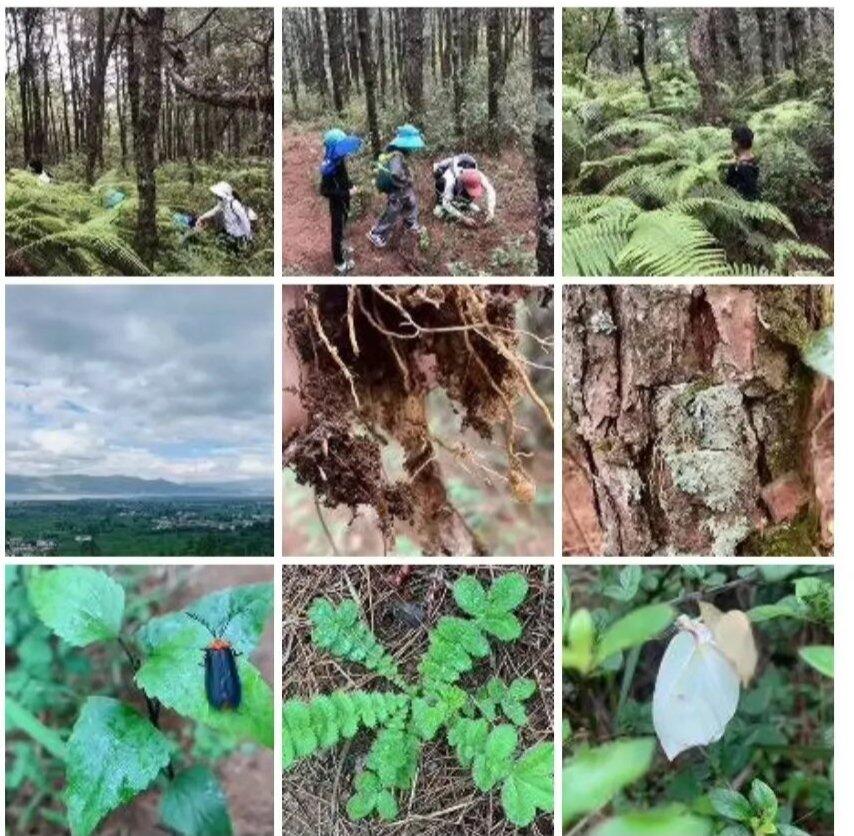 Von Reisenden hochgeladenes Aktivitätsfoto