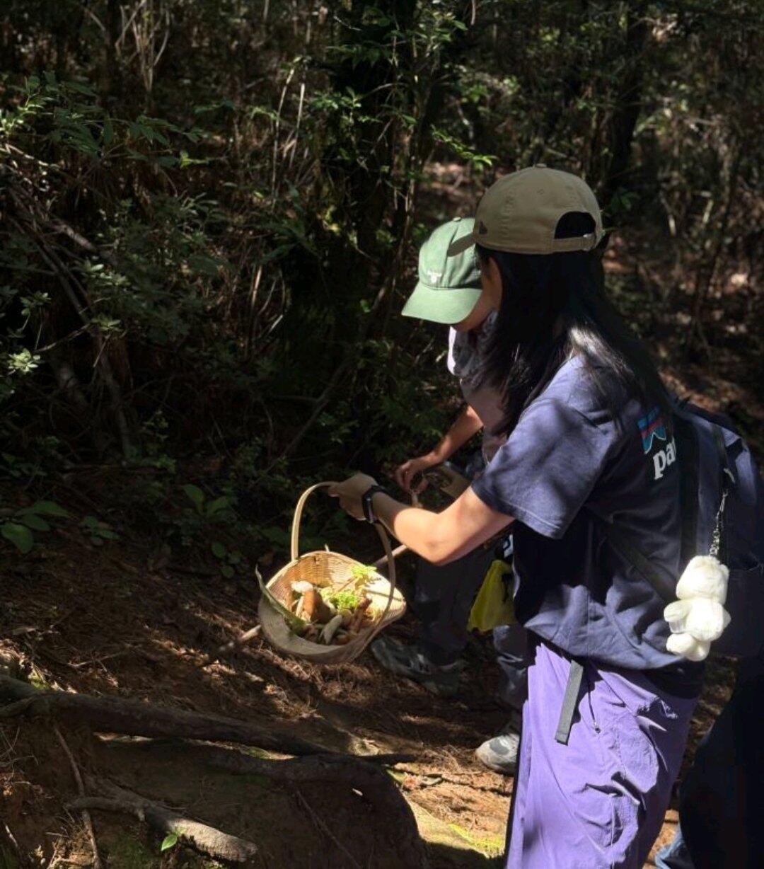 旅行者上传的活动照片